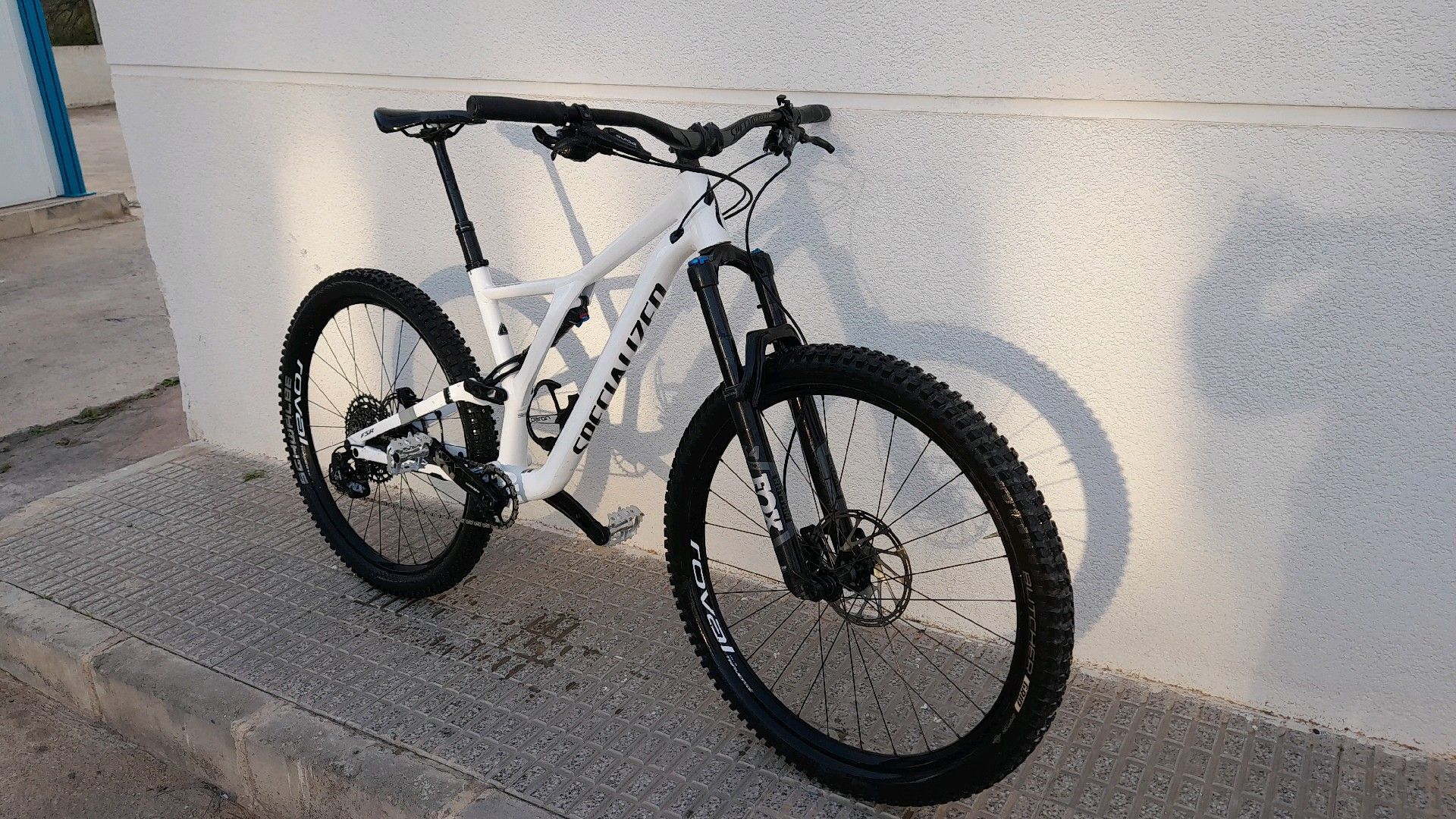 Stumpjumper on sale alloy 2019