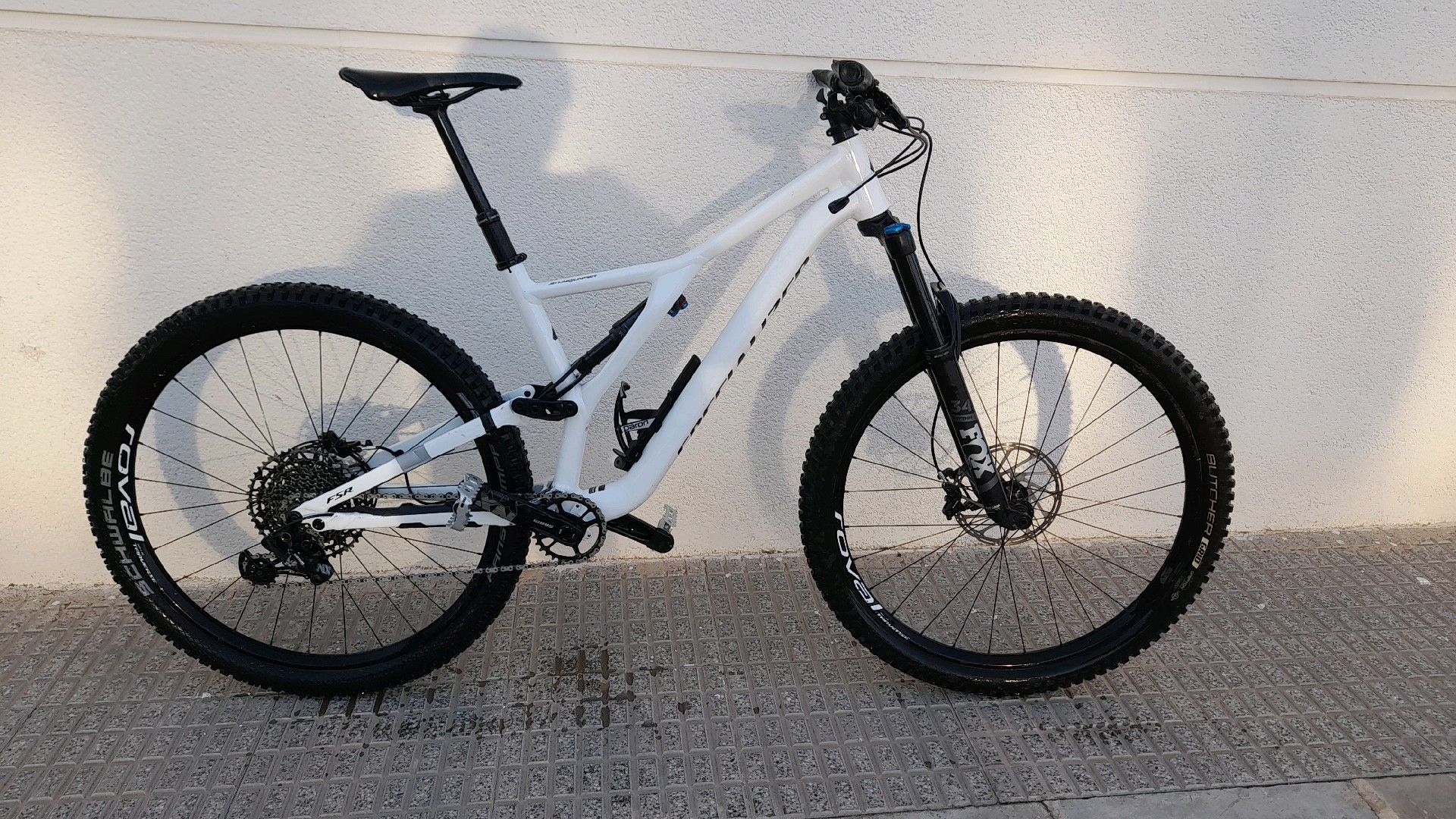 Specialized stumpjumper on sale alloy 2019