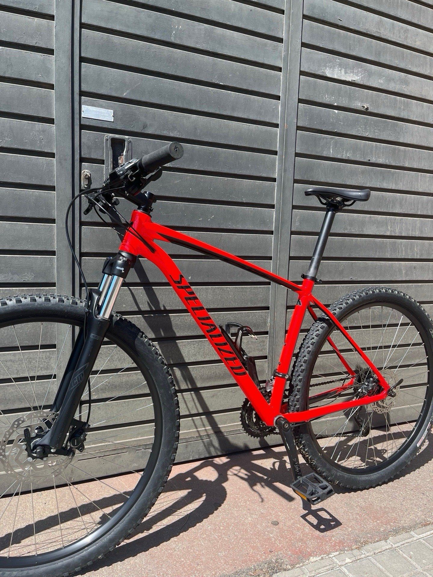 Specialized rockhopper hot sale 2020 29