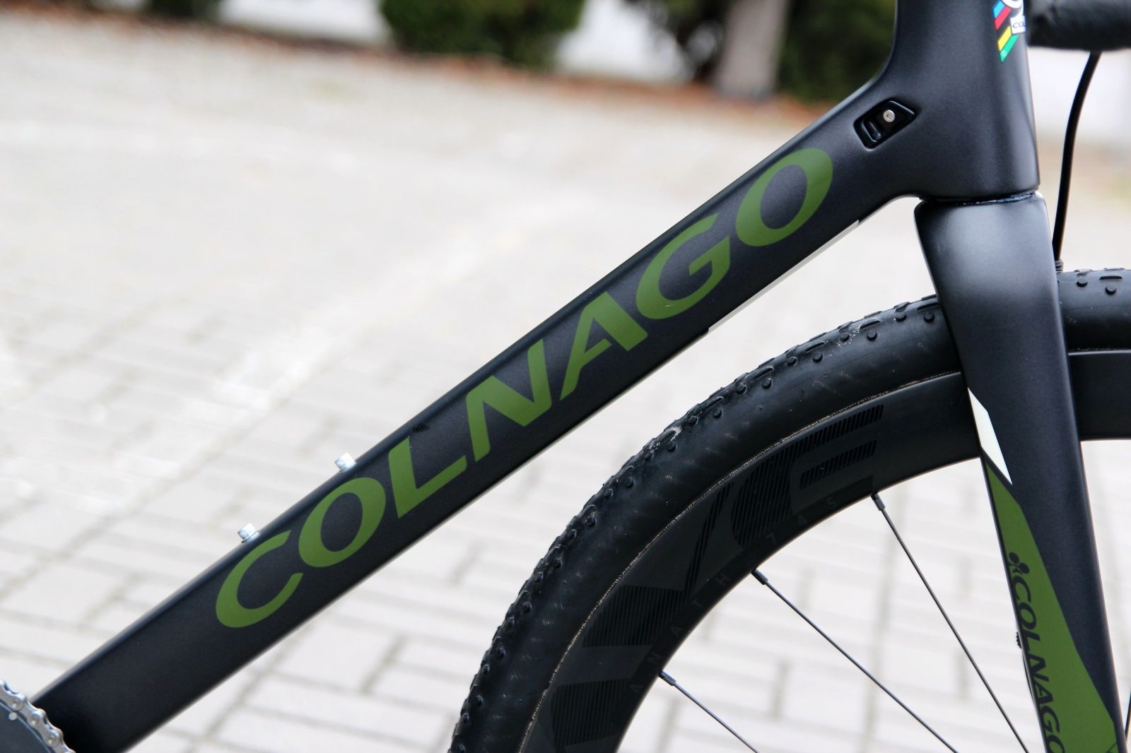 Colnago store prestige disc