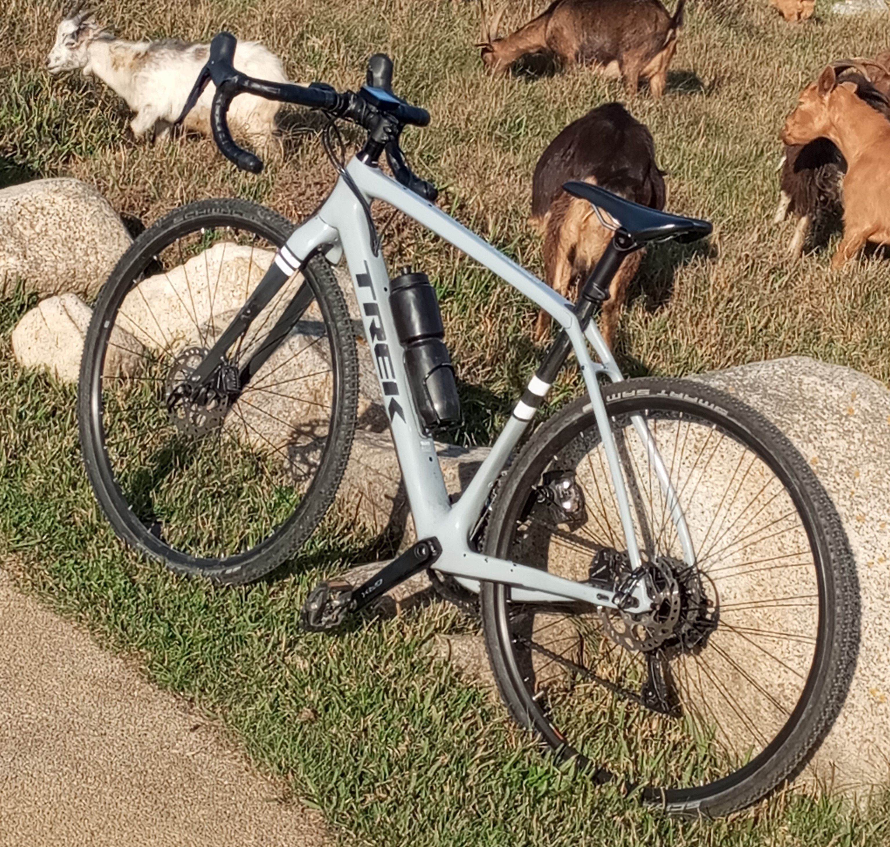 2019 trek hot sale checkpoint sl5