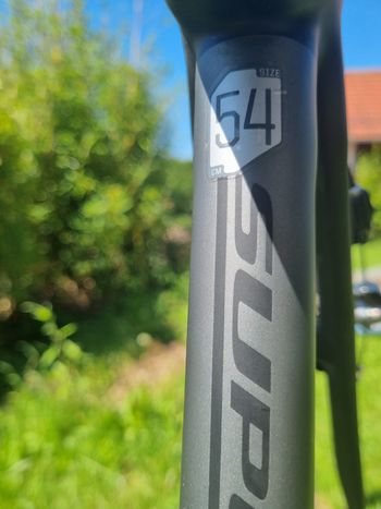 Cannondale - SuperSix EVO Red eTap 2019, 2019