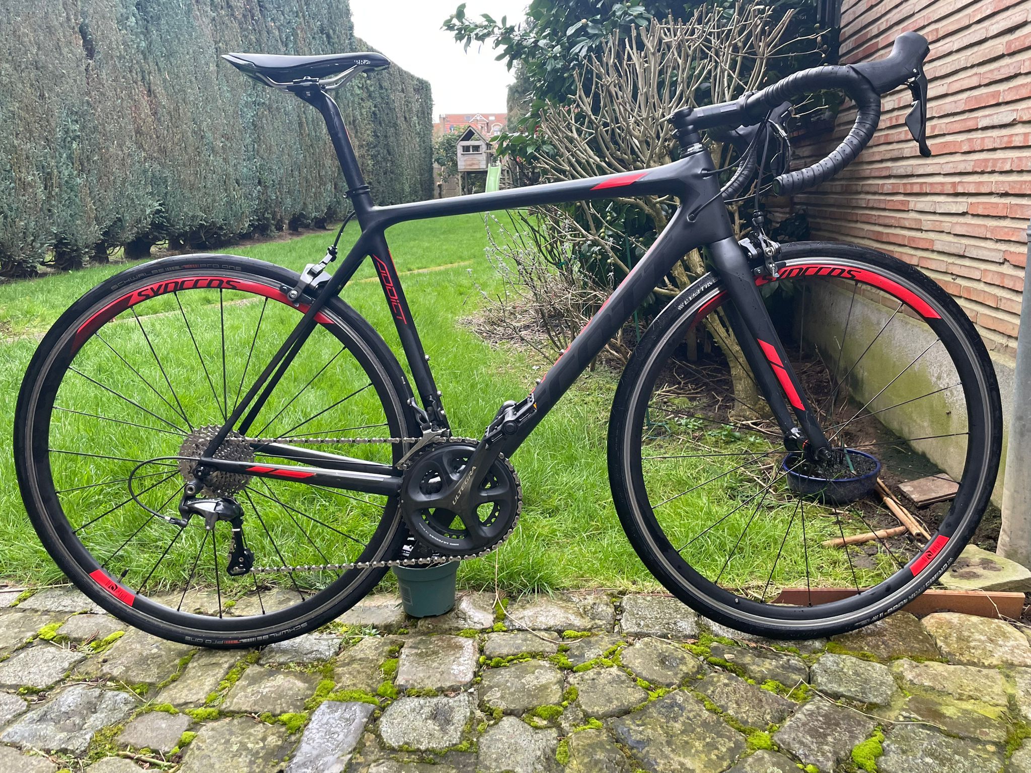 Scott addict store 20 rc 2019