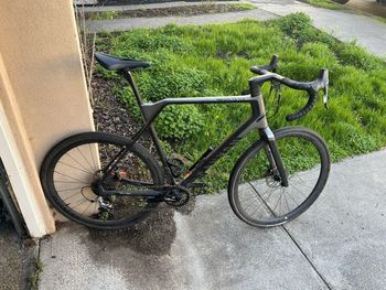 Used Canyon Canyon Inflite - XL, Carbon - Gravel, Cyclocross 2023 Road & Gravel, Light Gray — image 6 of 6
