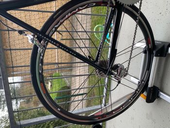 Used Red Bull (Rose) Red Bull Pro SL 2007 Road & Gravel, Black — image 17 of 27