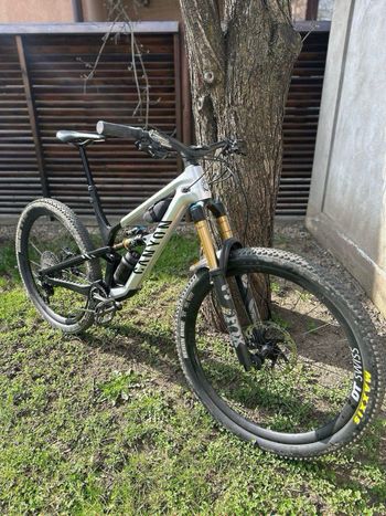 Used Canyon Spectral 29 CFR 2023 2023 Mountainbike, Light Gray, 29 — image 2 of 12