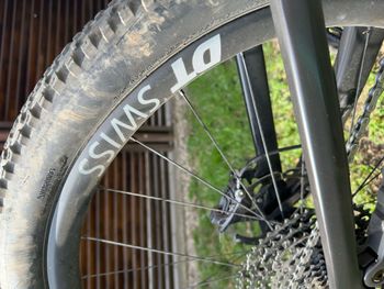 Used Canyon Spectral 29 CFR 2023 2023 Mountainbike, Light Gray, 29 — image 11 of 12