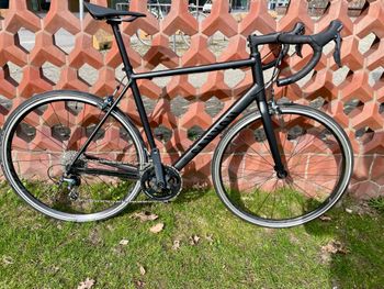 Used Canyon Endurace 6 RB 2022 2022 Road & Gravel, Schwarz — image 3 of 12