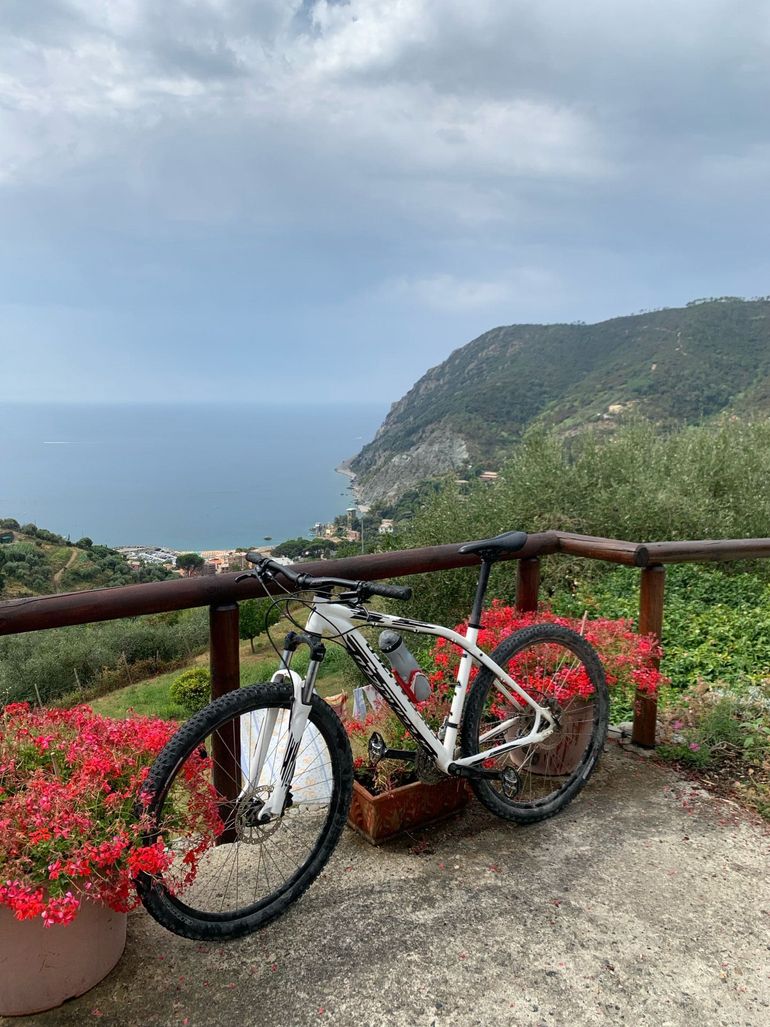 Used Specialized Men's Pitch Expert 27.5 2018 2018 Mountainbike, Weiß — image 3 of 5
