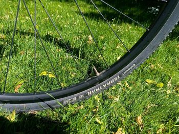 Used Basso Palta Campagnolo Ekar 2022 Road & Gravel, Light Gray — image 9 of 14