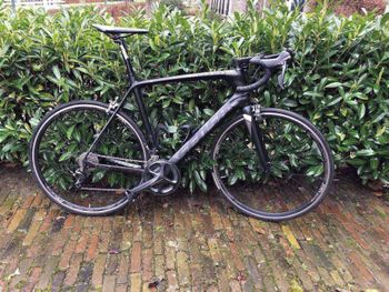 Used Sensa Giulia G2 Ultegra Mix Carbon 2018 2018 Road & Gravel — image 6 of 19