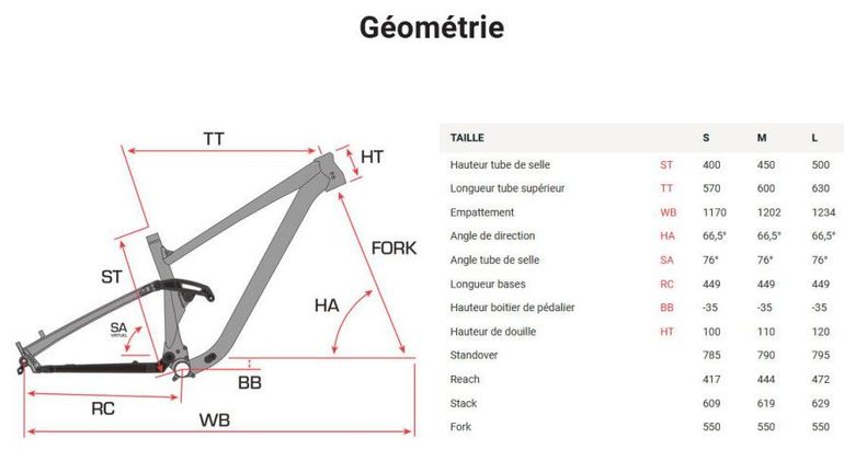 Slide 8