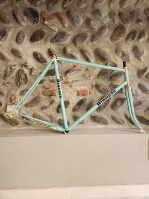 Bianchi - Specialissima GOLD FRAMESET ONLY, 1990