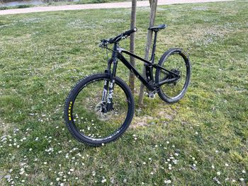 Used YT Industries Izzo CORE 2 29 2022 2022 Mountainbike, Black, 29 — image 10 of 13