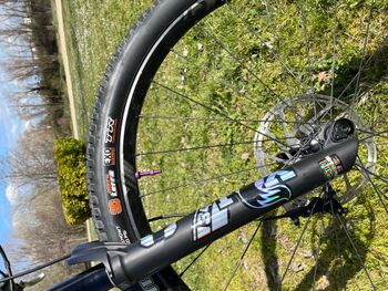 Used YT Industries Izzo CORE 2 29 2022 2022 Mountainbike, Black, 29 — image 13 of 13