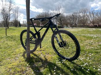 Used YT Industries Izzo CORE 2 29 2022 2022 Mountainbike, Black, 29 — image 3 of 13