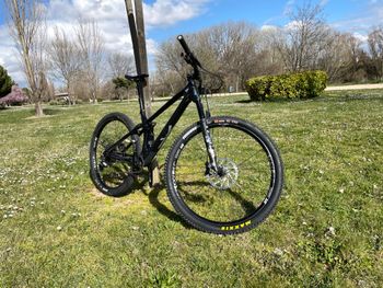 Used YT Industries Izzo CORE 2 29 2022 2022 Mountainbike, Black, 29 — image 2 of 13
