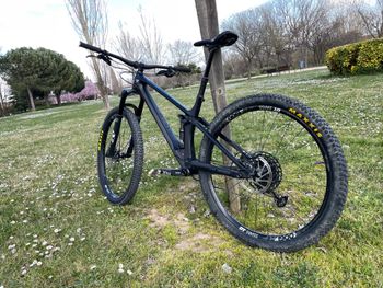 Used YT Industries Izzo CORE 2 29 2022 2022 Mountainbike, Black, 29 — image 11 of 13