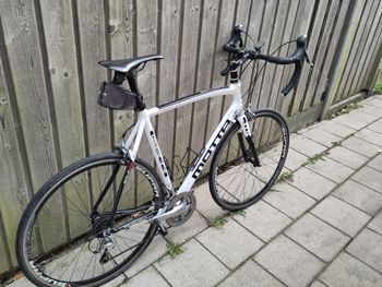 Used Gianni Motta Emilia 68 2016 Road & Gravel, White — image 3 of 4