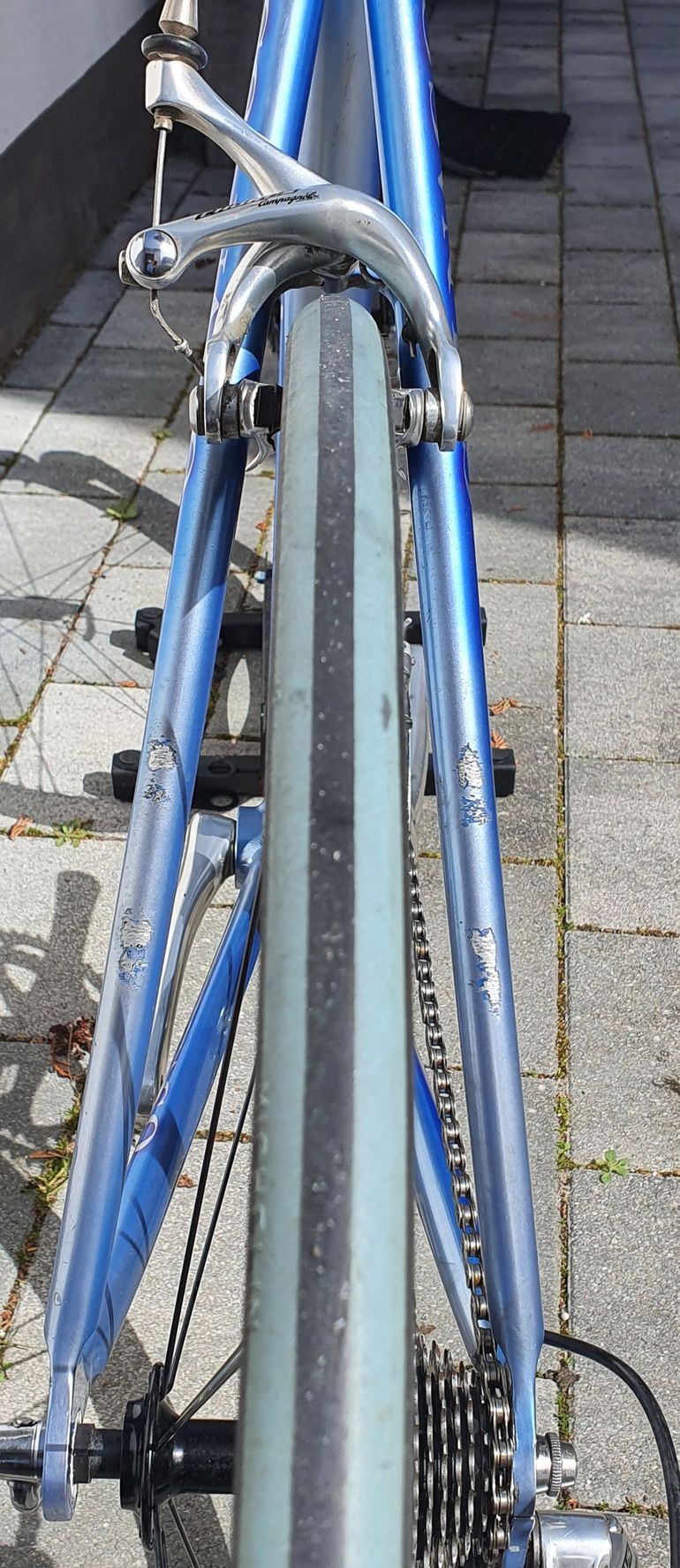 Used Colnago Dream Reflex 2005 Road & Gravel, Blau — image 5 of 12
