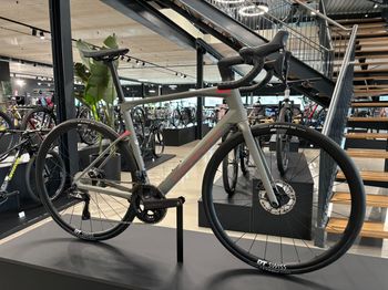 Used BMC Roadmachine 01 THREE 2022 2022 Road & Gravel, Grigio chiaro — image 3 of 5