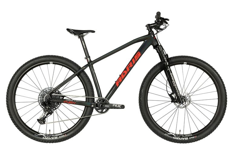 Used Adris Sturdy Sram NX Eagle 2023 Mountainbike — image 1 of 7