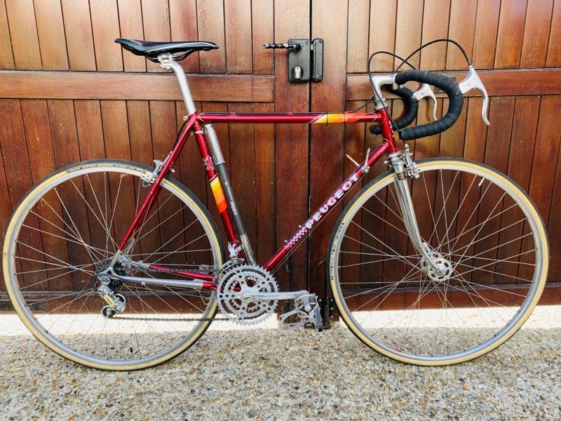 Peugeot PX10 used in 54 cm | buycycle USA