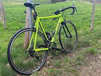 Cannondale CAAD 9 used in 54 cm | buycycle USA