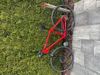 Used Univega Terrano 2020 Road & Gravel, Red — image 2 of 6