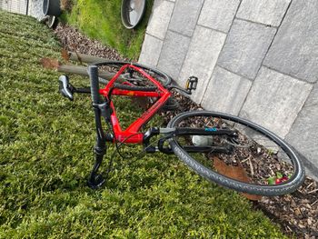 Used Univega Terrano 2020 Road & Gravel, Red — image 6 of 6