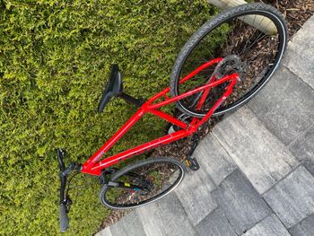 Used Univega Terrano 2020 Road & Gravel, Red — image 3 of 6