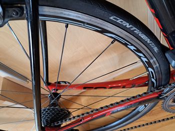 Used Focus Izalco Team SL 2014 Road & Gravel, Red — image 3 of 3