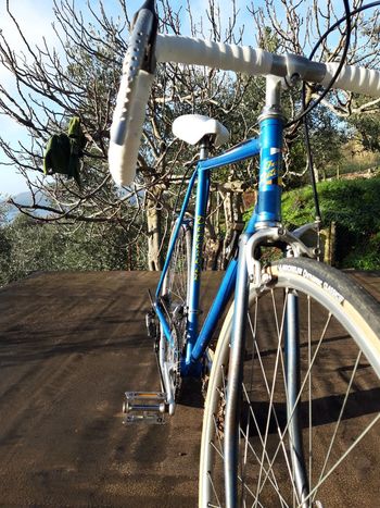 Used Vintage Fernand Delcroix 1980 Road & Gravel, Blau — image 2 of 32