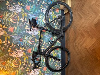 Used Giant TCR Advanced Pro 1 2019 2019 Road & Gravel, Black — image 1 of 3