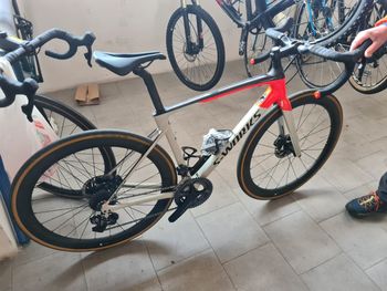 Specialized - S-Works Roubaix - Shimano Dura-Ace Di2 2020, 2020