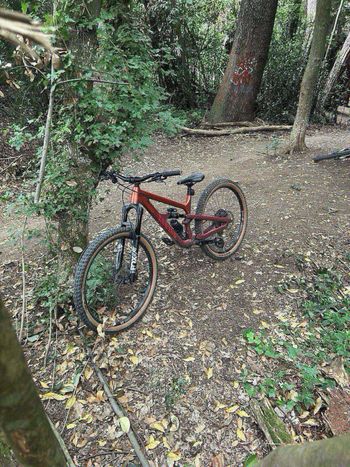 Used Canyon Spectral 125 AL 6 2023 2023 Mountainbike, Black, 29 — image 6 of 6