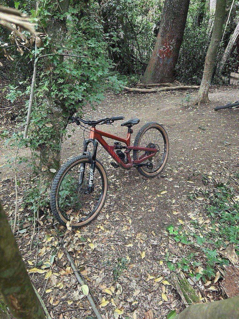 Used Canyon Spectral 125 AL 6 2023 2023 Mountainbike, Black, 29 — image 6 of 6