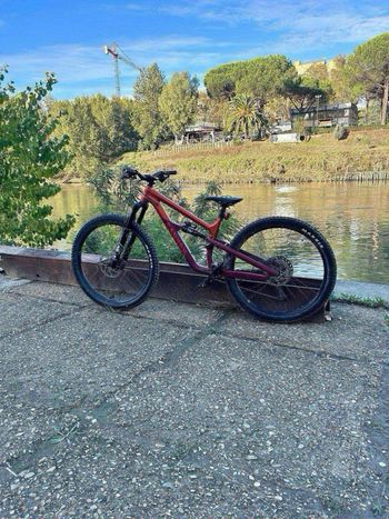 Used Canyon Spectral 125 AL 6 2023 2023 Mountainbike, Black, 29 — image 2 of 6