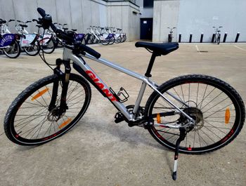 Used Giant Roam 1 Disc 2019 Mountainbike, Light Gray — image 1 of 3