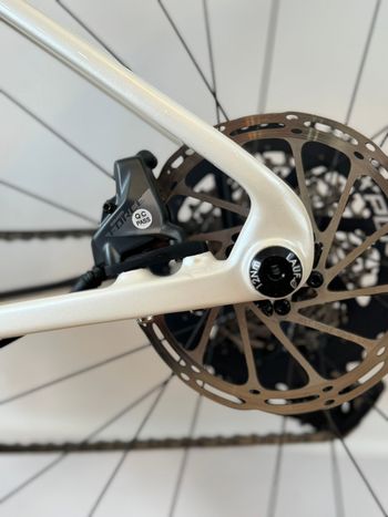 Used Lauf Seigla - Race Wireless 2023 2023 Road & Gravel — image 16 of 17