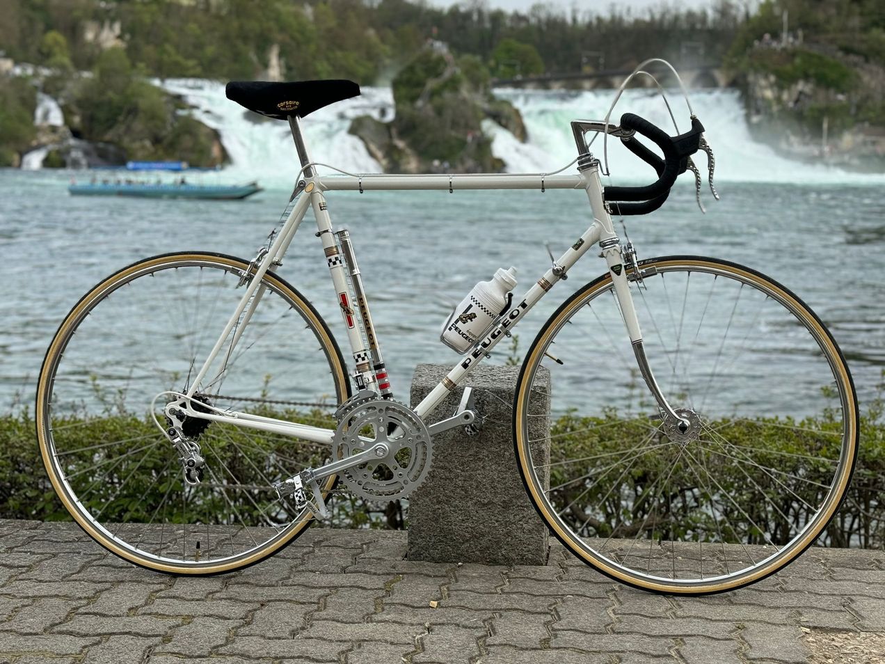 Peugeot PR10 used in 56 cm | buycycle USA