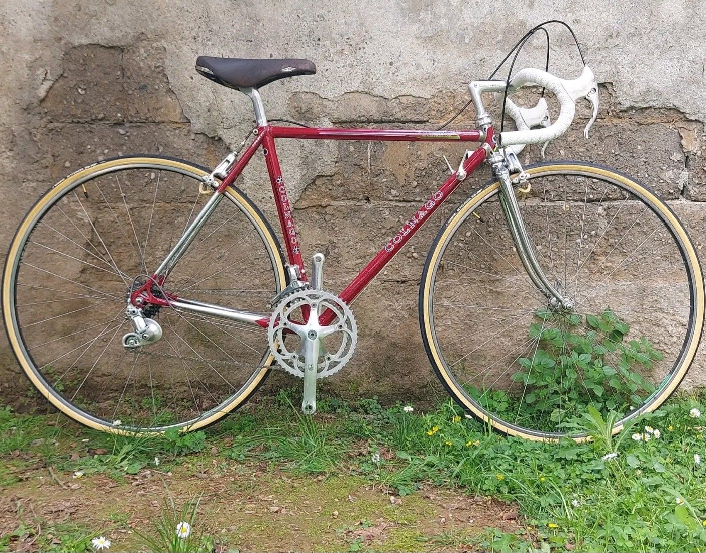 Colnago Master Piu Used In 49 Cm Buycycle