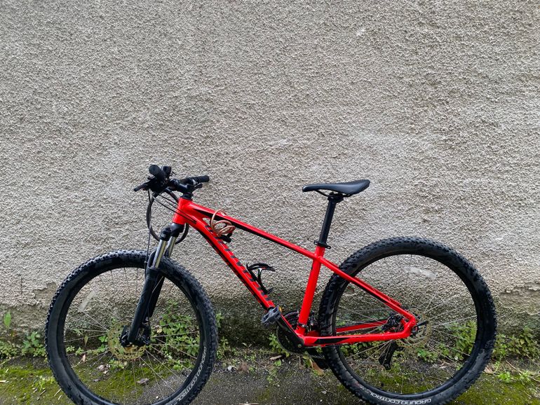 Specialized rockhopper comp 29 2017 online