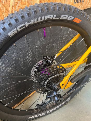 Used Santa Cruz CHAMELEON S / Aluminum 2024 2024 Mountainbike — image 8 of 9