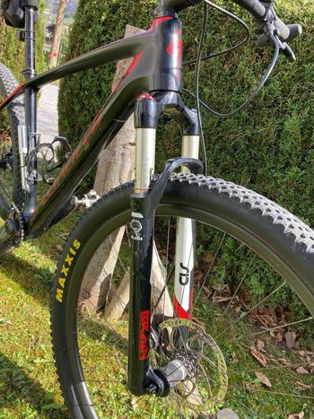 Used Specialized Stumpjumper Elite Carbon 29 World Cup 2016 2016 Mountainbike, Red — image 2 of 7
