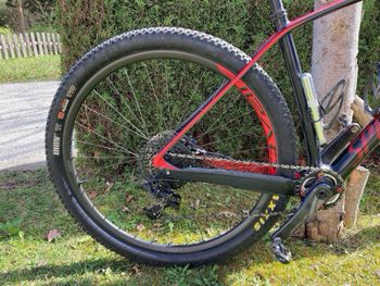 Used Specialized Stumpjumper Elite Carbon 29 World Cup 2016 2016 Mountainbike, Red — image 7 of 7