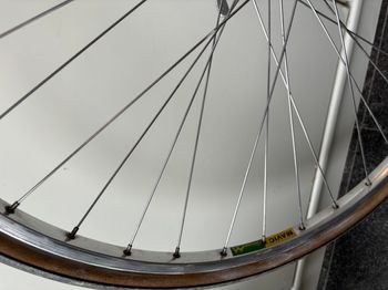 Used Pinarello Treviso 1980 Road & Gravel, Red — image 10 of 13