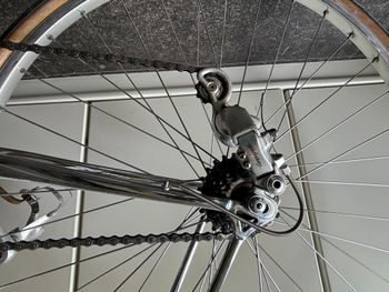 Used Pinarello Treviso 1980 Road & Gravel, Red — image 4 of 13