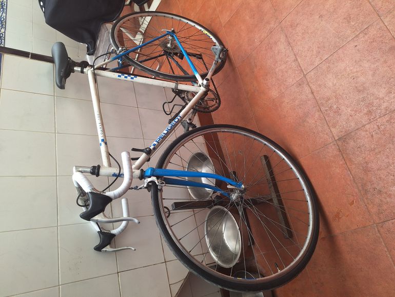 Used Peugeot Course 100 1973 Road & Gravel — image 2 of 3