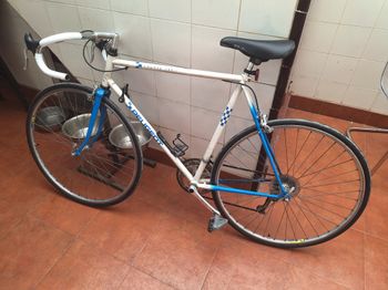Used Peugeot Course 100 1973 Road & Gravel — image 1 of 3
